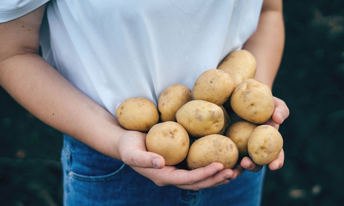 To μυστικό για να μη σας χαλάσουν οι πατάτες