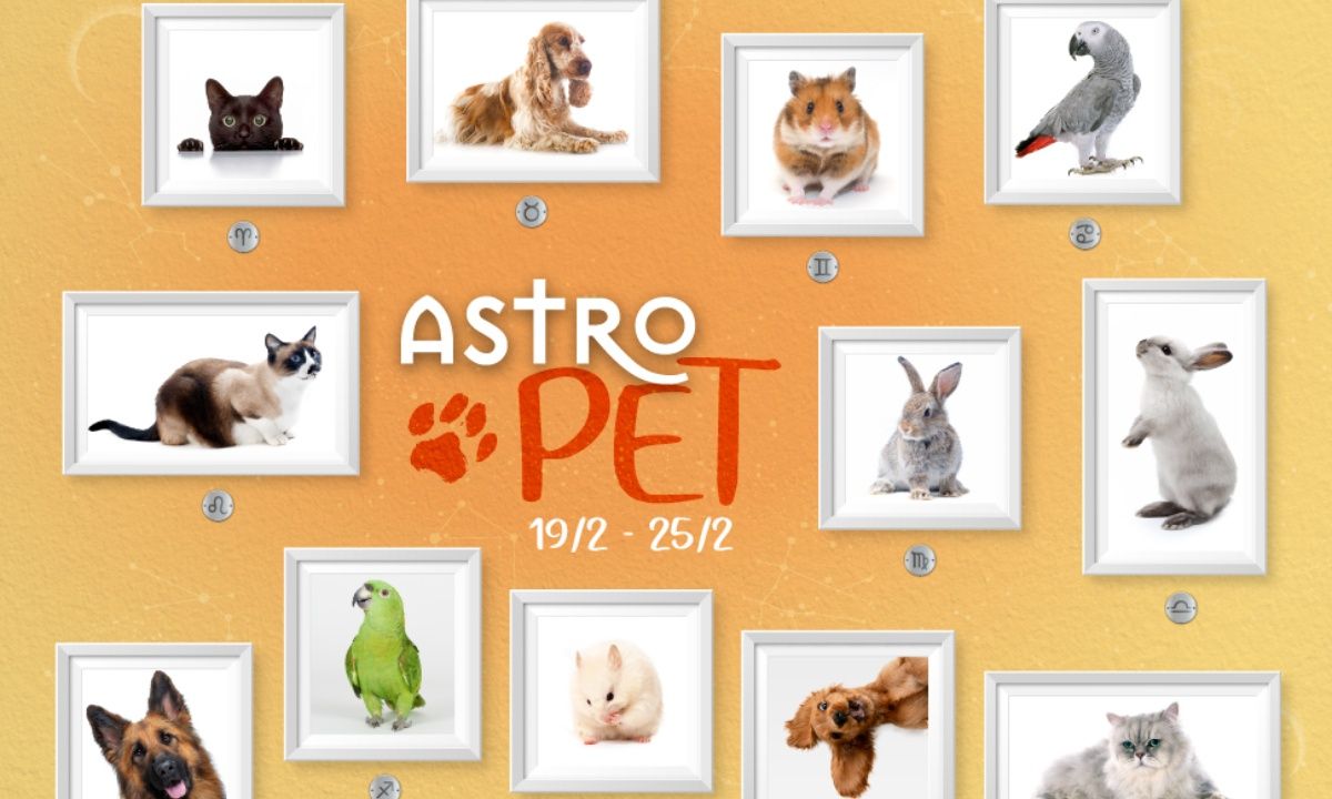 AstroPet 19/02-25/02: Εβδομαδιαίες προβλέψεις για το κατοικίδιό σου