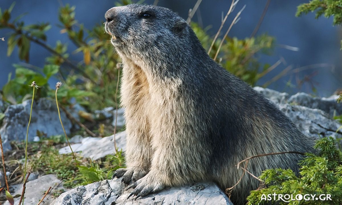Διάβασε ΔΩΡΕΑΝ την προσωπική σου πρόβλεψη, για σήμερα 05/03/2023