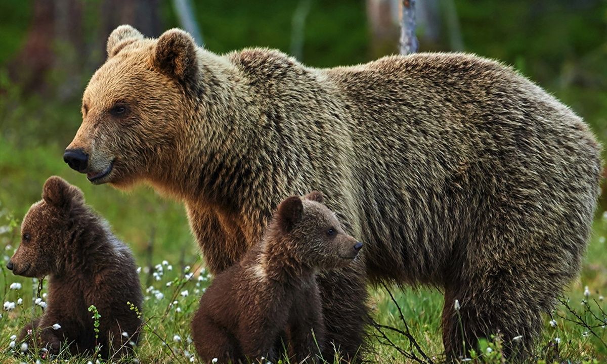 Διάβασε ΔΩΡΕΑΝ την προσωπική σου πρόβλεψη, για σήμερα 09/03/2023