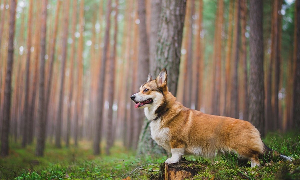 Διάβασε ΔΩΡΕΑΝ την προσωπική σου πρόβλεψη, για σήμερα 11/03/2023