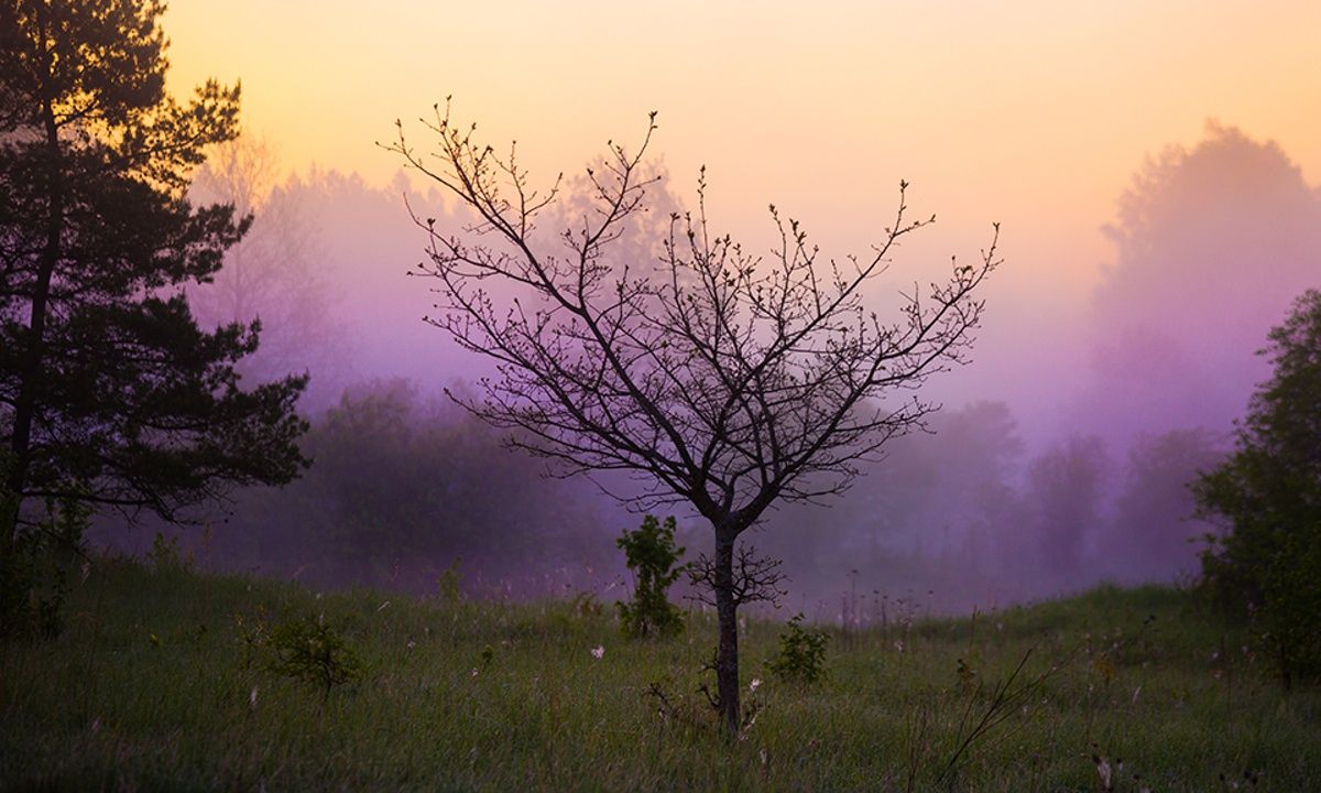 Διάβασε ΔΩΡΕΑΝ την προσωπική σου πρόβλεψη, για σήμερα 12/03/2023