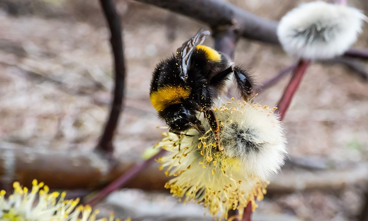 Διάβασε ΔΩΡΕΑΝ την προσωπική σου πρόβλεψη, για σήμερα 17/03/2023