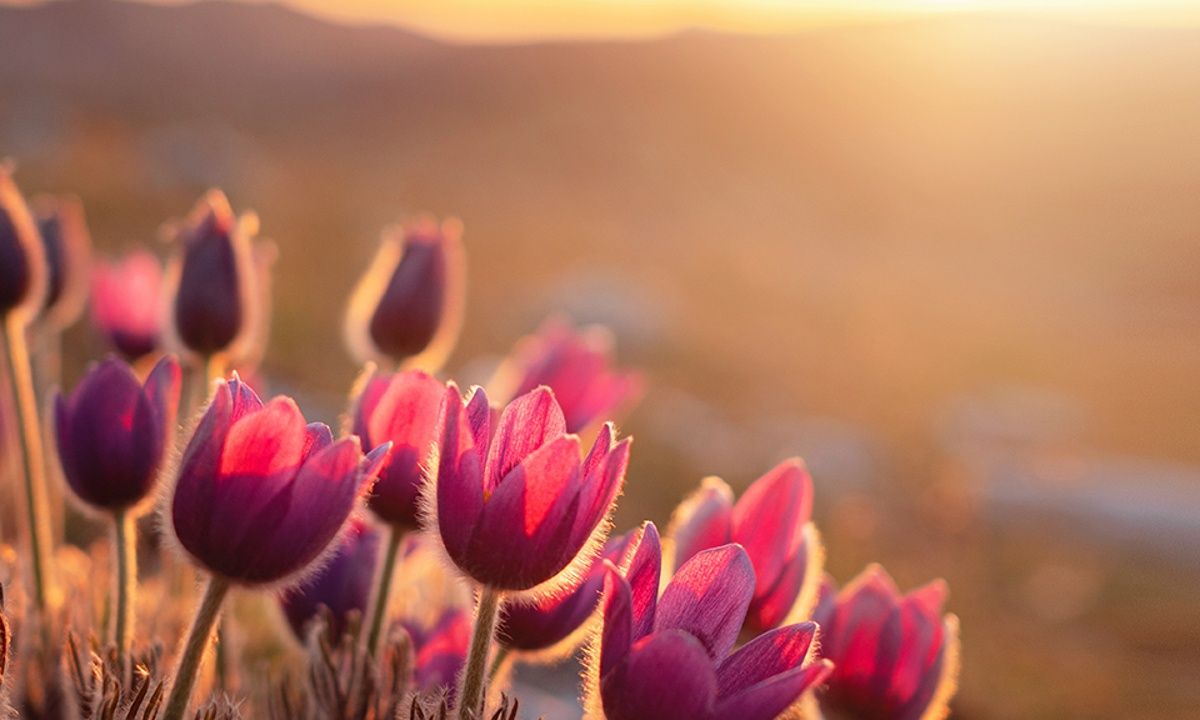Διάβασε ΔΩΡΕΑΝ την προσωπική σου πρόβλεψη, για σήμερα 18/03/2023
