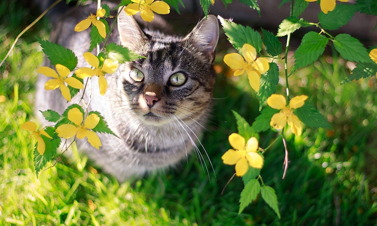 Διάβασε ΔΩΡΕΑΝ την προσωπική σου πρόβλεψη, για σήμερα 19/03/2023