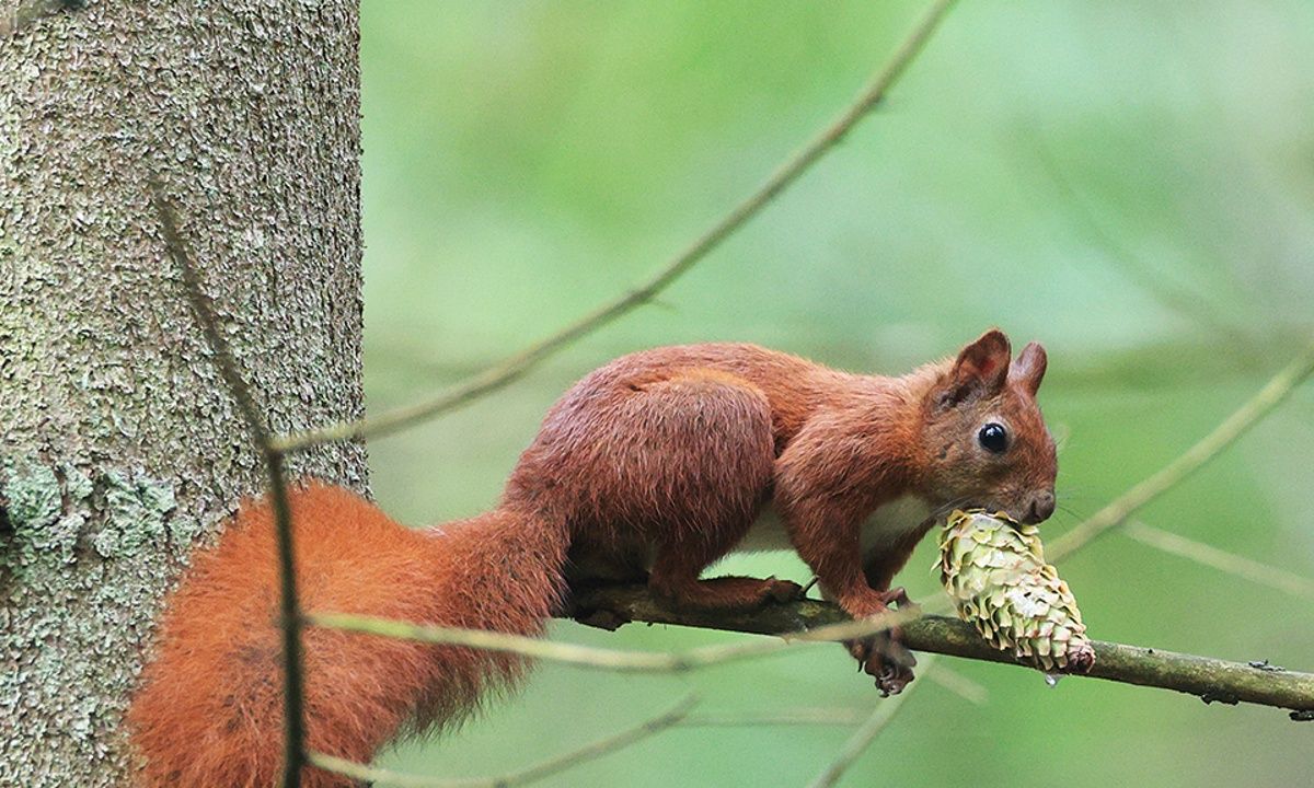 Διάβασε ΔΩΡΕΑΝ την προσωπική σου πρόβλεψη, για σήμερα 21/03/2023
