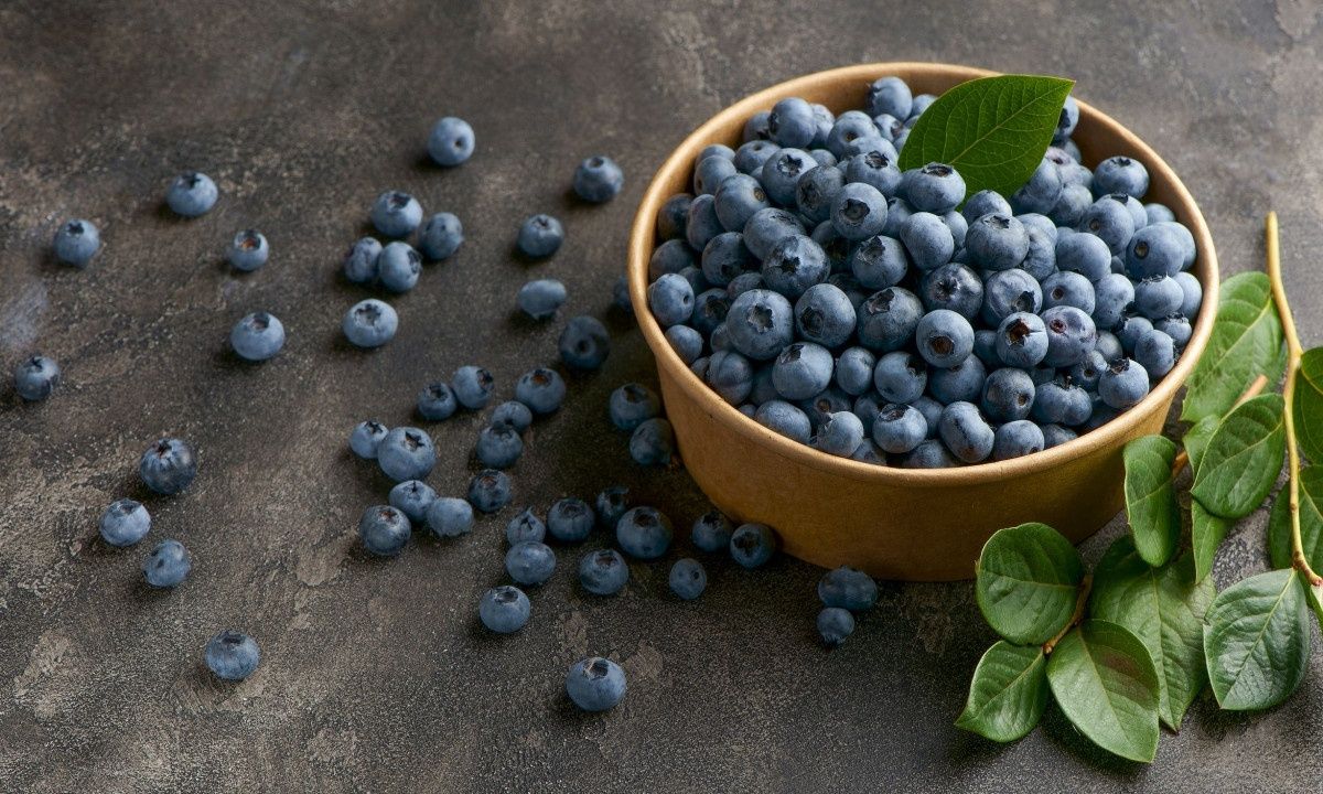 Μύρτιλα: Γιατί αυξάνουν τις καύσεις λίπους