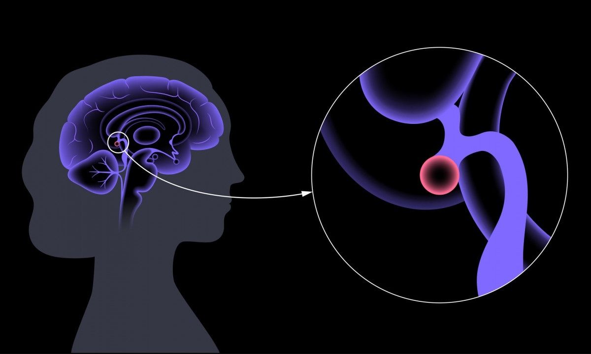 Η ορμόνη που ρυθμίζει τη γήρανση και τη γνωστική έκπτωση