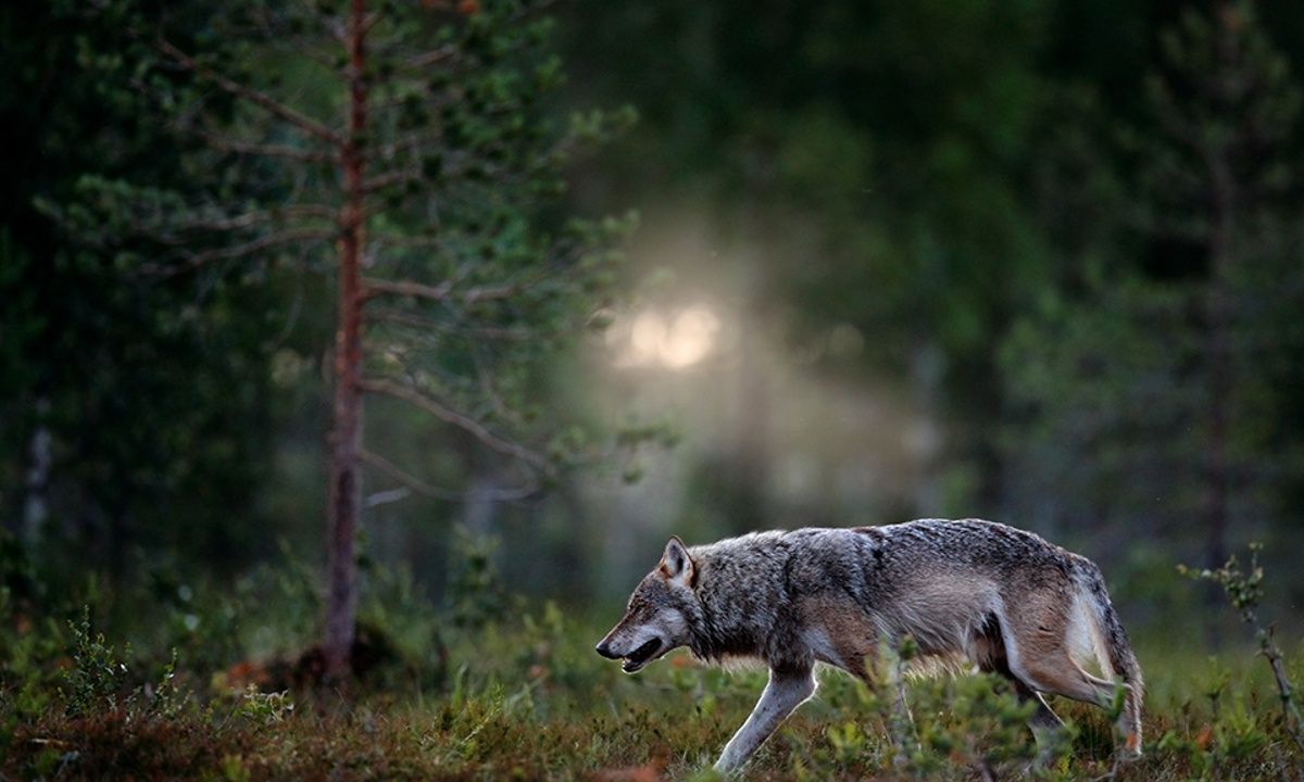 Διάβασε ΔΩΡΕΑΝ την προσωπική σου πρόβλεψη, για σήμερα 29/03/2023