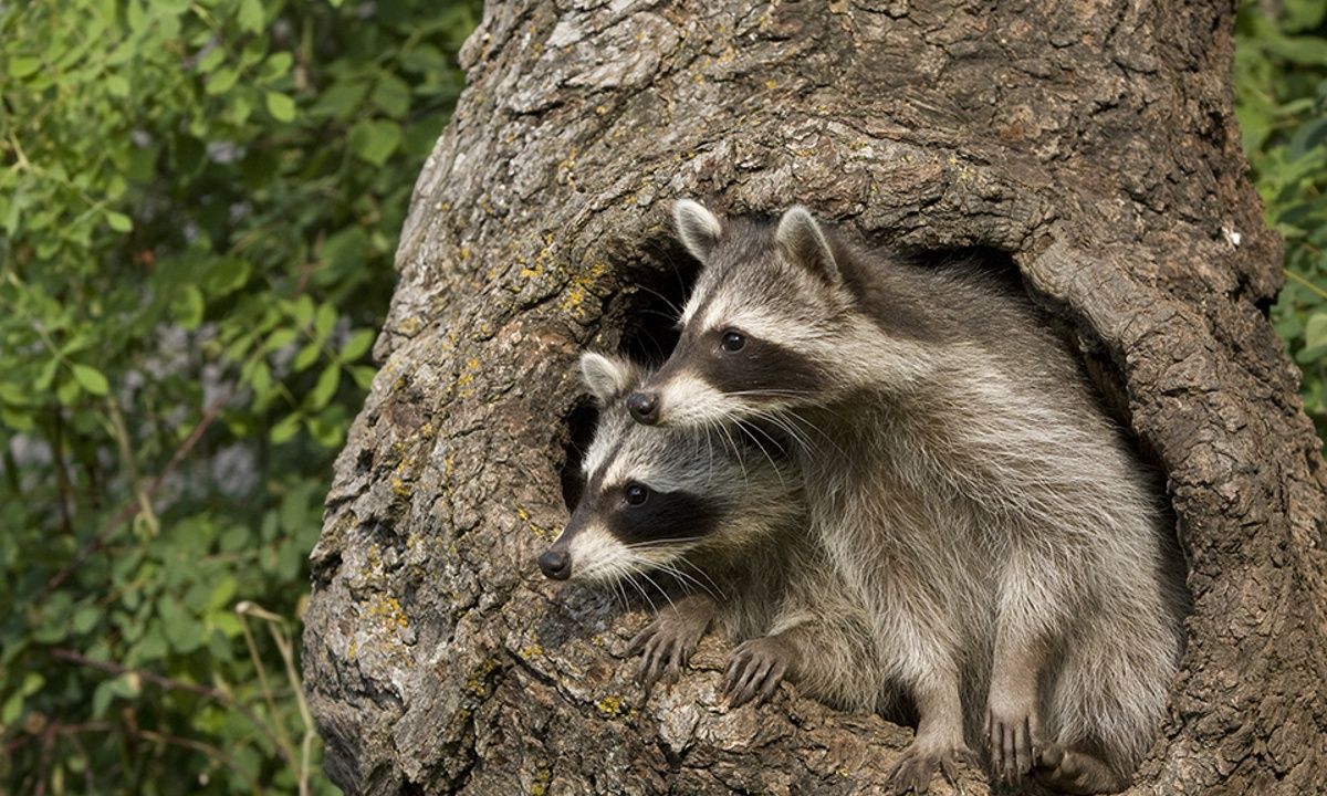 Διάβασε ΔΩΡΕΑΝ την προσωπική σου πρόβλεψη, για σήμερα 26/03/2023