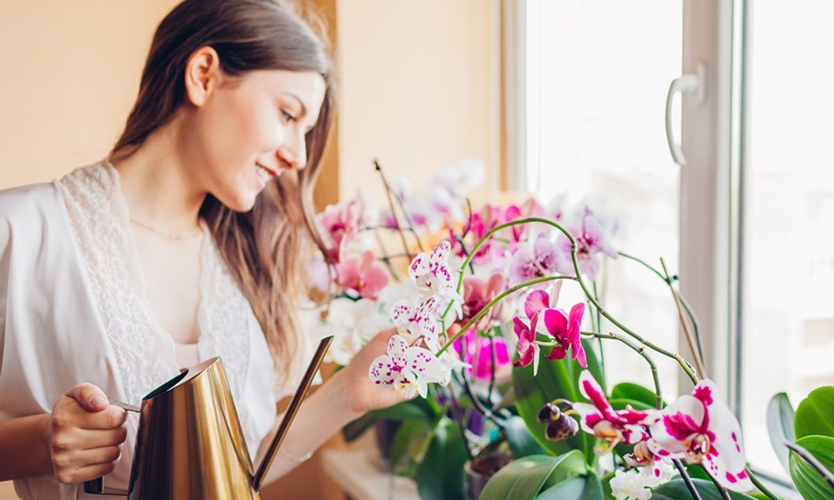 Ημερήσιες Προβλέψεις 30/03: Στη βράση κολλάει το σίδερο