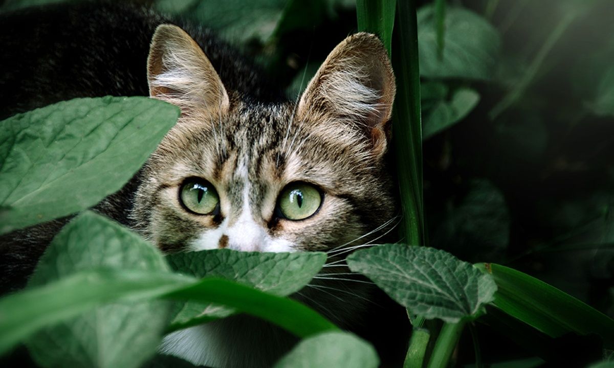 Διάβασε ΔΩΡΕΑΝ την προσωπική σου πρόβλεψη, για σήμερα 01/04/2023