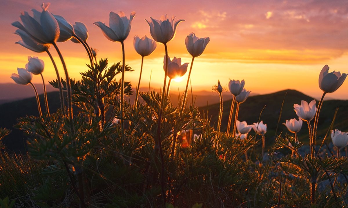 Διάβασε ΔΩΡΕΑΝ την προσωπική σου πρόβλεψη, για σήμερα 04/04/2023