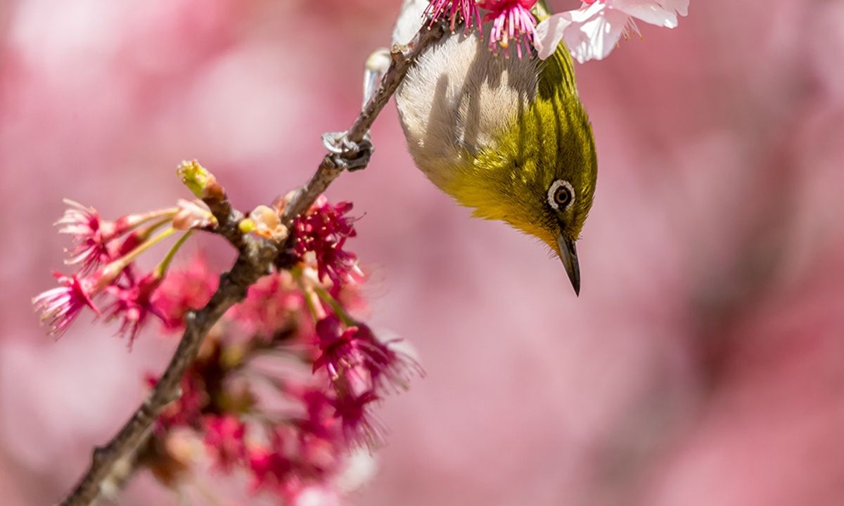 Διάβασε ΔΩΡΕΑΝ την προσωπική σου πρόβλεψη, για σήμερα 03/04/2023