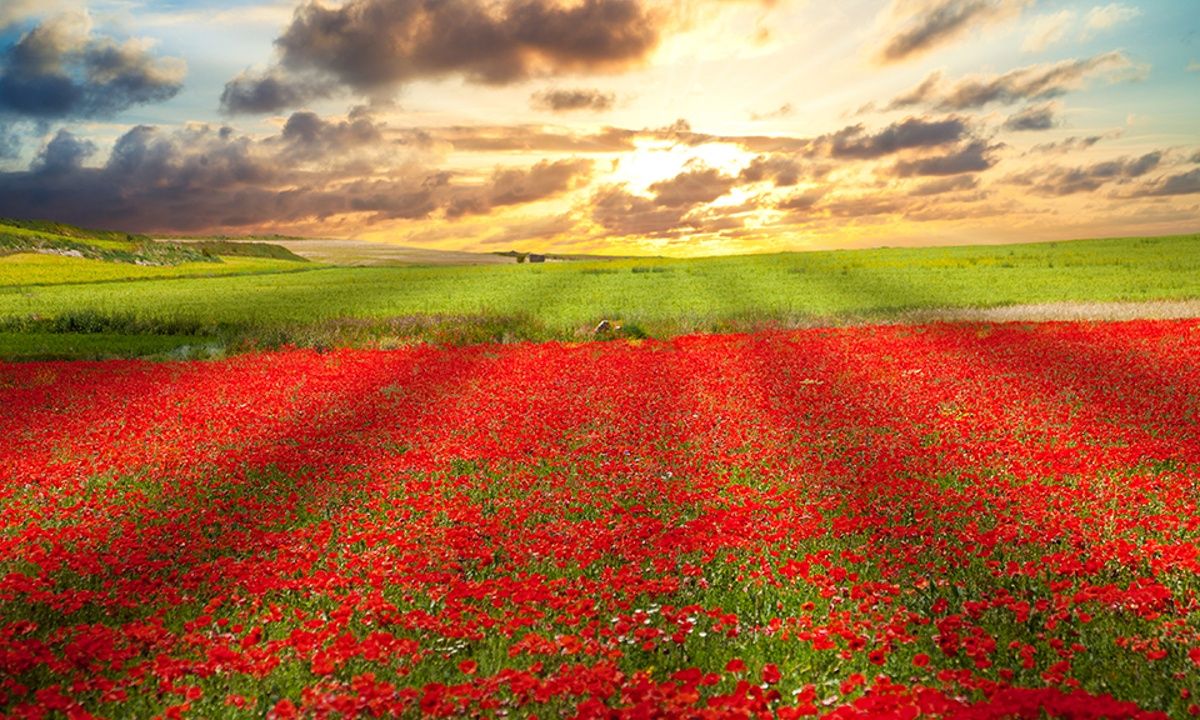 Διάβασε ΔΩΡΕΑΝ την προσωπική σου πρόβλεψη, για σήμερα 10/04/2023