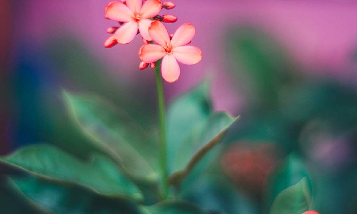 Διάβασε ΔΩΡΕΑΝ την προσωπική σου πρόβλεψη, για σήμερα 08/04/2023