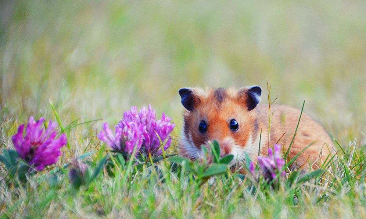 Διάβασε ΔΩΡΕΑΝ την προσωπική σου πρόβλεψη, για σήμερα 07/04/2023