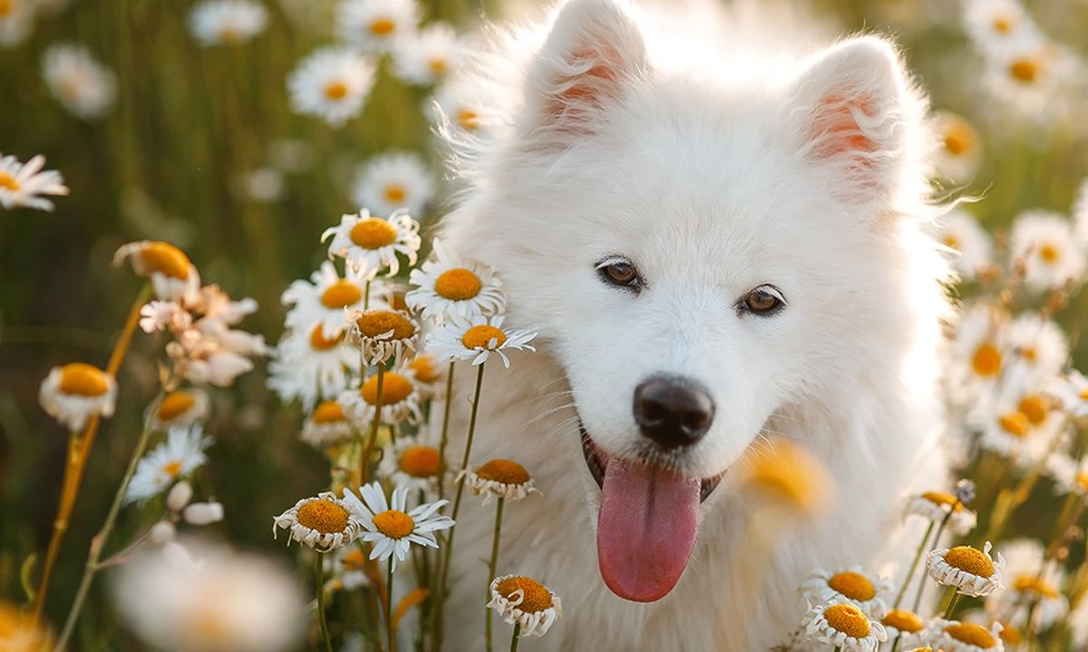 Διάβασε ΔΩΡΕΑΝ την προσωπική σου πρόβλεψη, για σήμερα 05/04/2023
