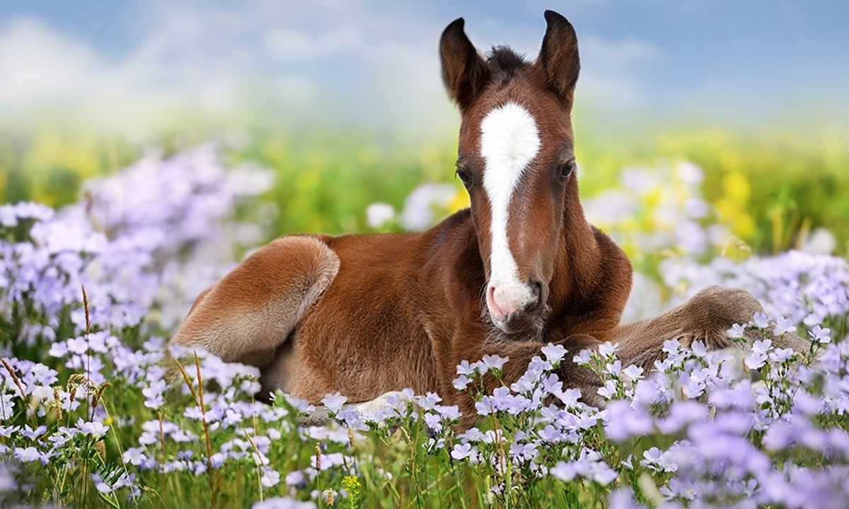 Διάβασε ΔΩΡΕΑΝ την προσωπική σου πρόβλεψη, για σήμερα 13/04/2023