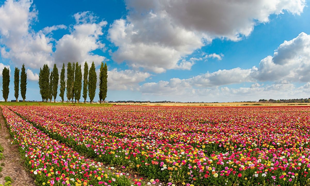 Διάβασε ΔΩΡΕΑΝ την προσωπική σου πρόβλεψη, για σήμερα 16/04/2023