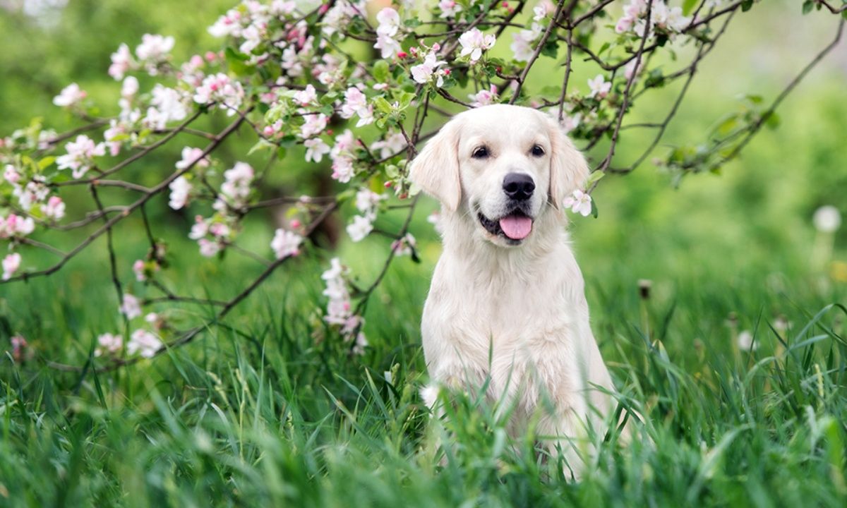 Διάβασε ΔΩΡΕΑΝ την προσωπική σου πρόβλεψη, για σήμερα 17/04/2023