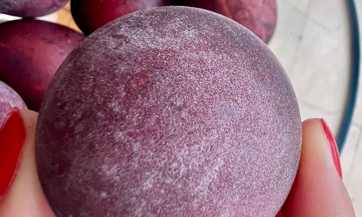 Πασχαλινά αυγά που λαμπυρίζουν φτιαγμένα με ζάχαρη και κρασί - Γράφει η Majenco