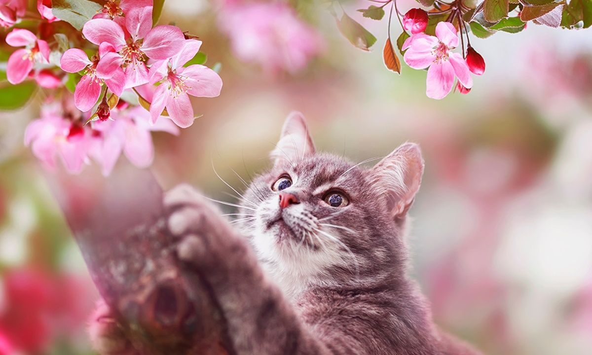 Διάβασε ΔΩΡΕΑΝ την προσωπική σου πρόβλεψη, για σήμερα 25/04/2023