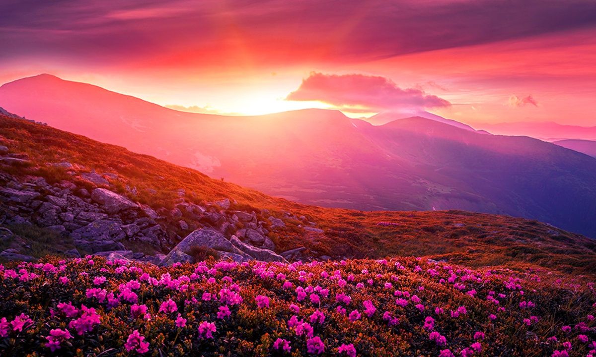 Διάβασε ΔΩΡΕΑΝ την προσωπική σου πρόβλεψη, για σήμερα 24/04/2023