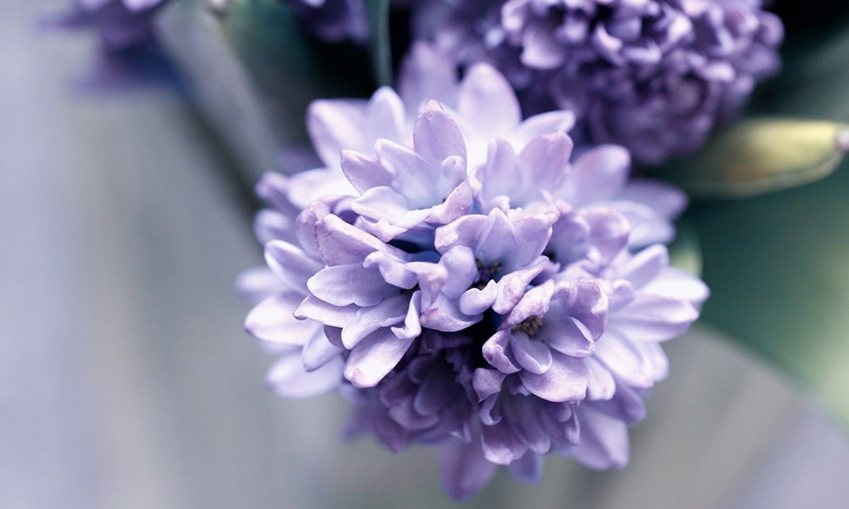 Διάβασε ΔΩΡΕΑΝ την προσωπική σου πρόβλεψη, για σήμερα 22/04/2023