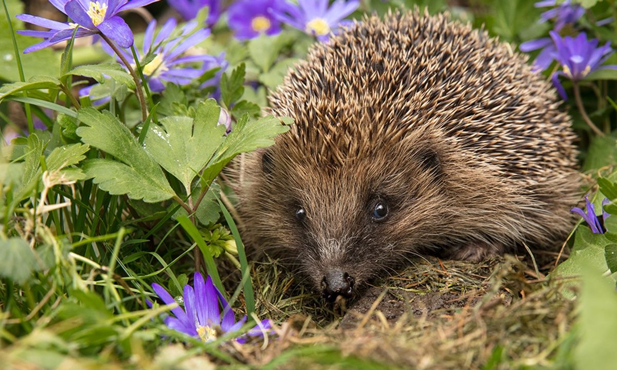 Διάβασε ΔΩΡΕΑΝ την προσωπική σου πρόβλεψη, για σήμερα 21/04/2023
