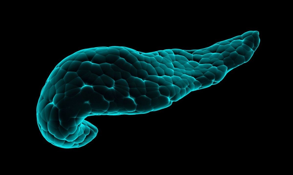 Καρκίνος παγκρέατος: Οι ενδείξεις που προειδοποιούν