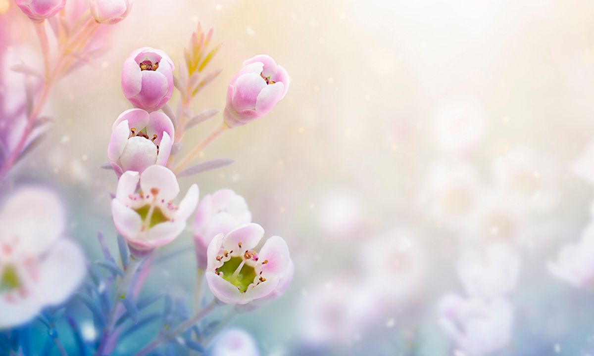 Διάβασε ΔΩΡΕΑΝ την προσωπική σου πρόβλεψη, για σήμερα 30/04/2023