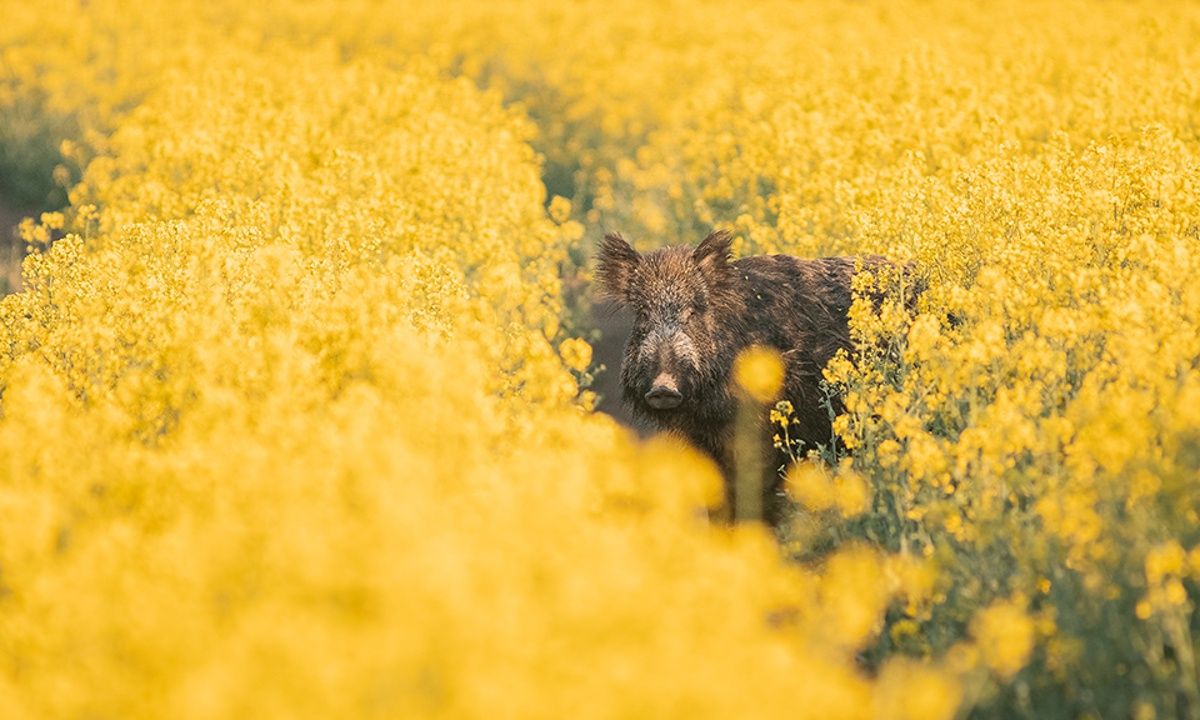 Διάβασε ΔΩΡΕΑΝ την προσωπική σου πρόβλεψη, για σήμερα 27/04/2023