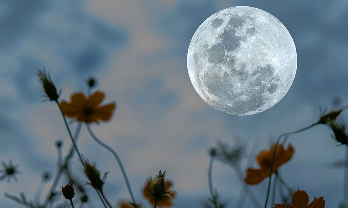 Πανσέληνος-Έκλειψη στο Σκορπιό: Μάθε αν επηρεάζεσαι