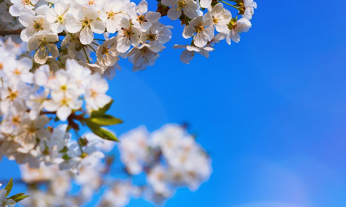 Διάβασε ΔΩΡΕΑΝ την προσωπική σου πρόβλεψη, για σήμερα 05/05/2023