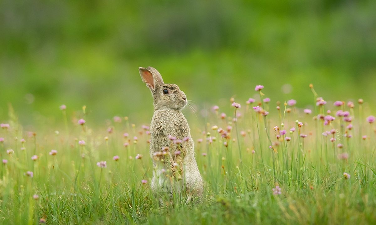 Διάβασε ΔΩΡΕΑΝ την προσωπική σου πρόβλεψη, για σήμερα 10/05/2023