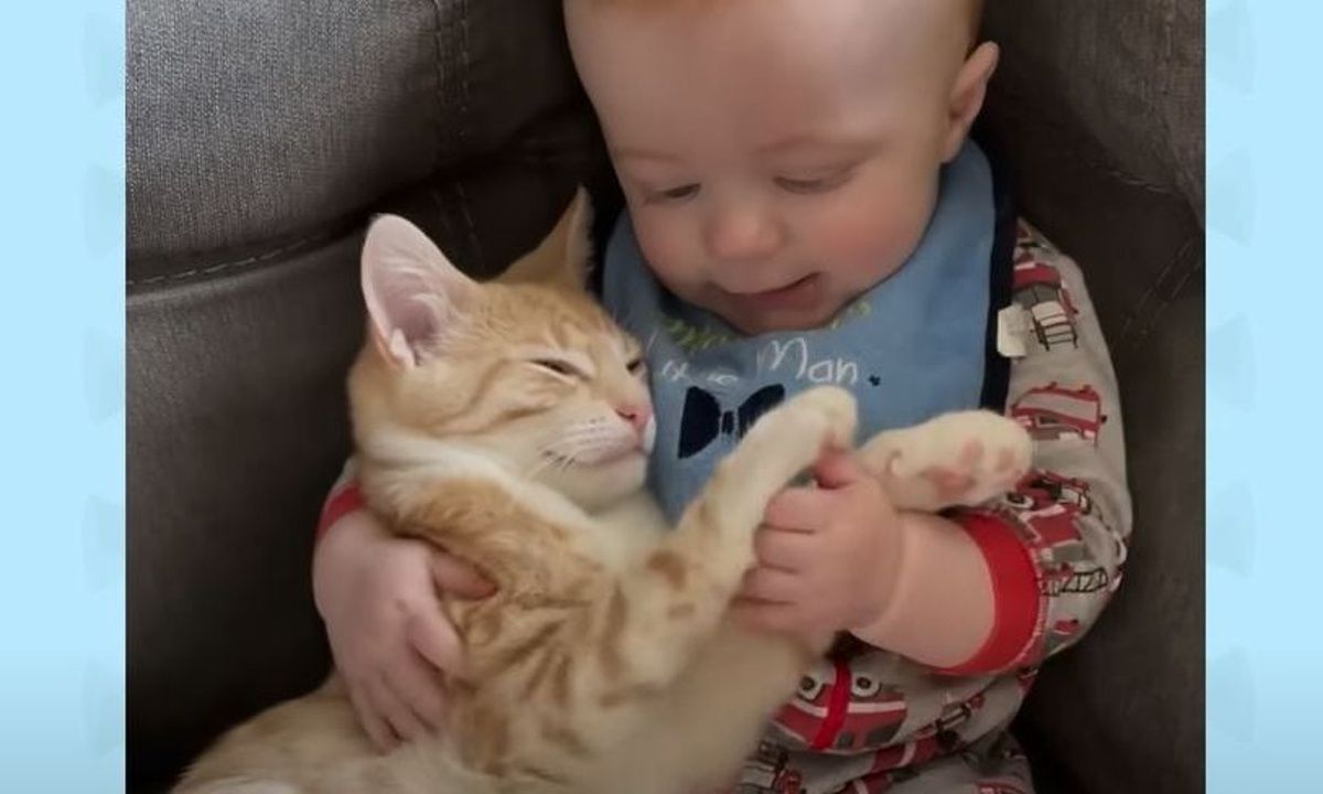 Γάτα έχει αδυναμία στο μωρό και δεν το αφήνει από τα μάτια της