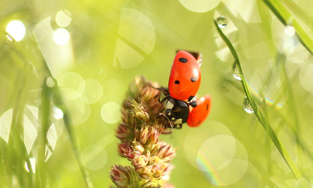 Διάβασε ΔΩΡΕΑΝ την προσωπική σου πρόβλεψη, για σήμερα 14/05/2023