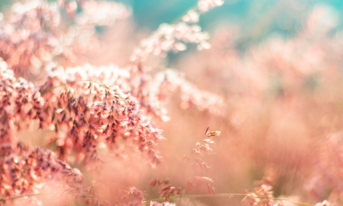 Διάβασε ΔΩΡΕΑΝ την προσωπική σου πρόβλεψη, για σήμερα 15/05/2023