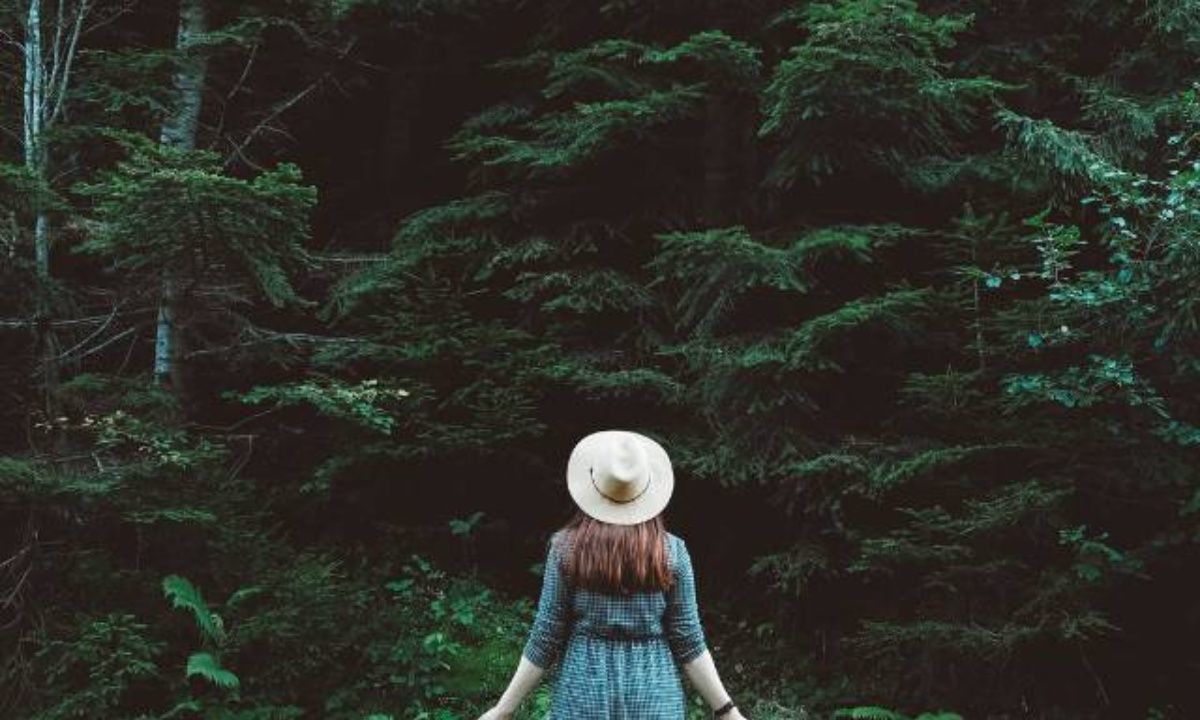 Σήμερα 14/05: Κοίτα το δάσος, όχι το δέντρο