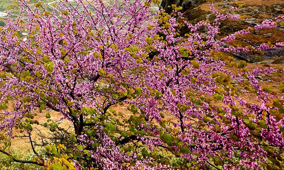 Διάβασε ΔΩΡΕΑΝ την προσωπική σου πρόβλεψη, για σήμερα 17/05/2023