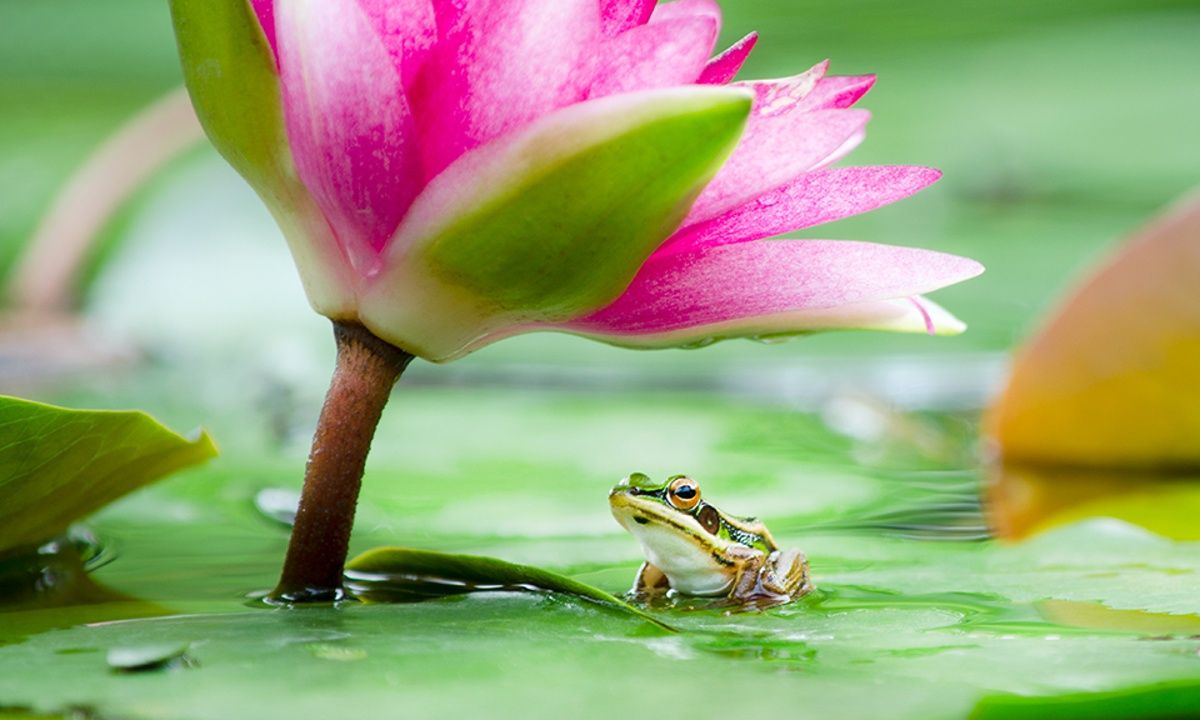 Διάβασε ΔΩΡΕΑΝ την προσωπική σου πρόβλεψη, για σήμερα 20/05/2023
