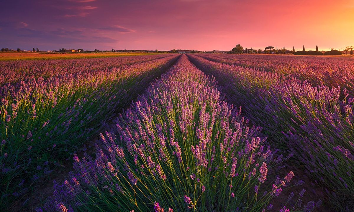 Διάβασε ΔΩΡΕΑΝ την προσωπική σου πρόβλεψη, για σήμερα 25/05/2023