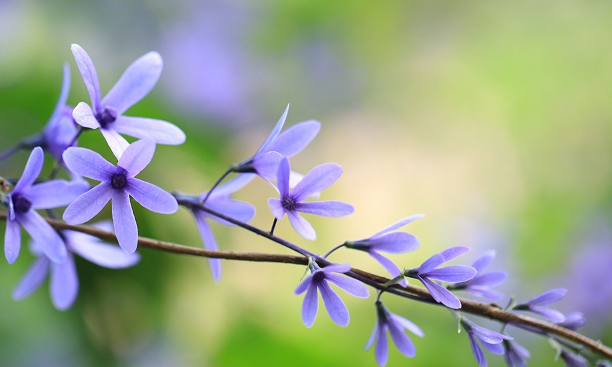 Διάβασε ΔΩΡΕΑΝ την προσωπική σου πρόβλεψη, για σήμερα 26/05/2023