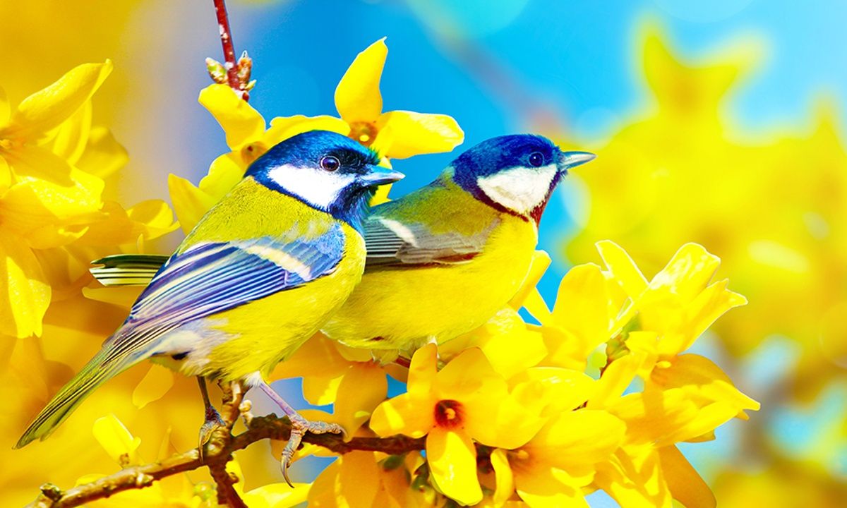 Διάβασε ΔΩΡΕΑΝ την προσωπική σου πρόβλεψη, για σήμερα 27/05/2023