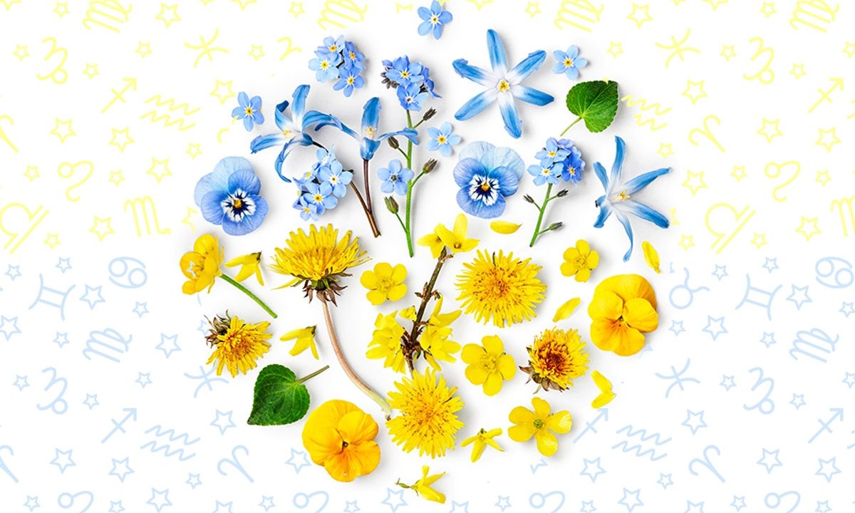 Εβδομαδιαίες προβλέψεις 28/05-03/06: Στενά περιθώρια