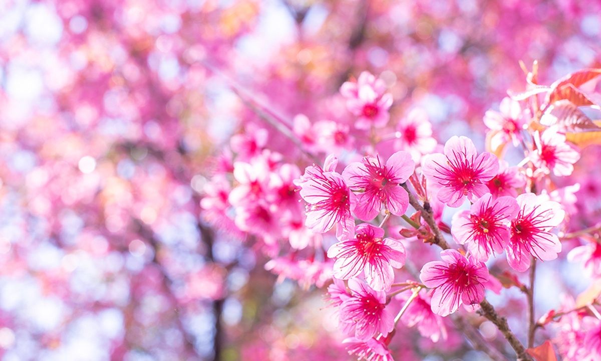 Διάβασε ΔΩΡΕΑΝ την προσωπική σου πρόβλεψη, για σήμερα 28/05/2023