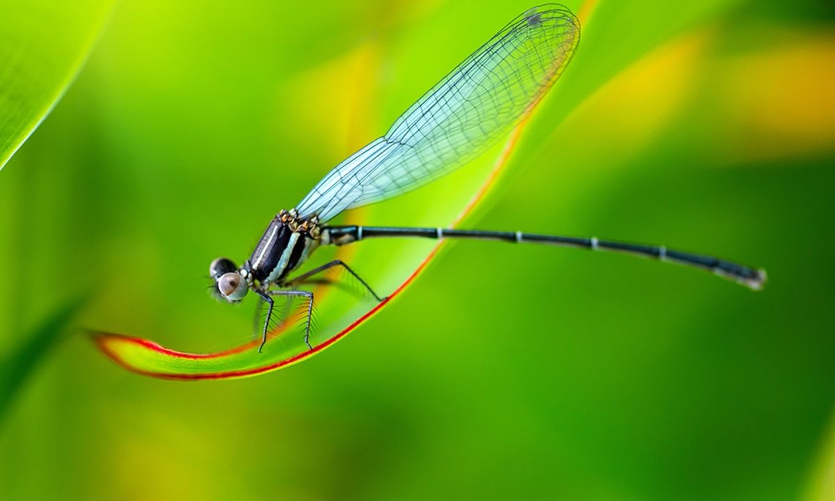 Διάβασε ΔΩΡΕΑΝ την προσωπική σου πρόβλεψη, για σήμερα 29/05/2023
