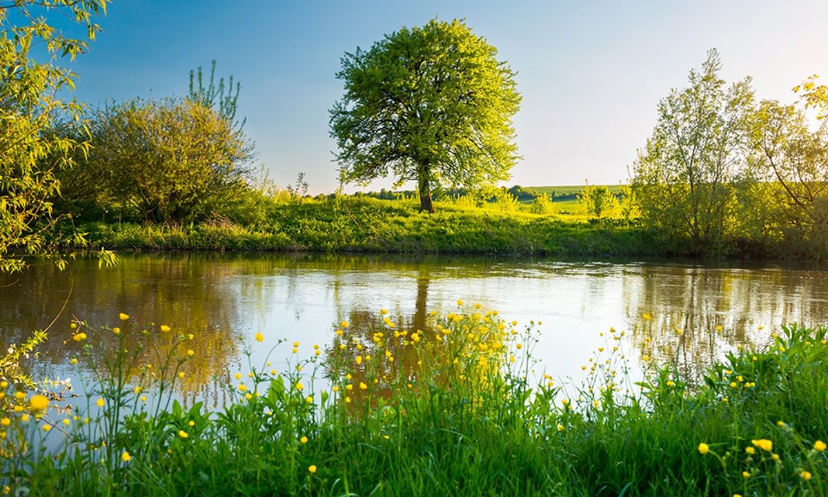 Διάβασε ΔΩΡΕΑΝ την προσωπική σου πρόβλεψη, για σήμερα 31/05/2023