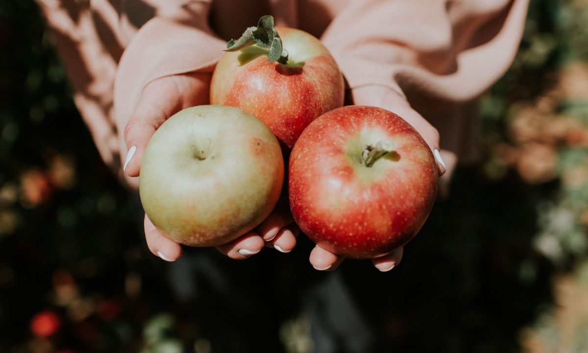 2 υγιεινά σνακ με ελάχιστες θερμίδες για την παραλία